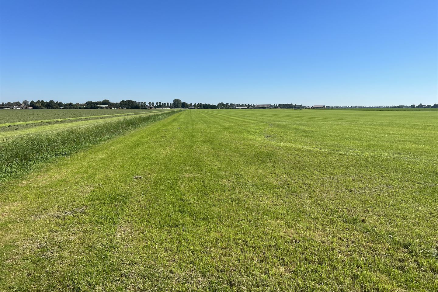 View photo 1 of Zomerdijk