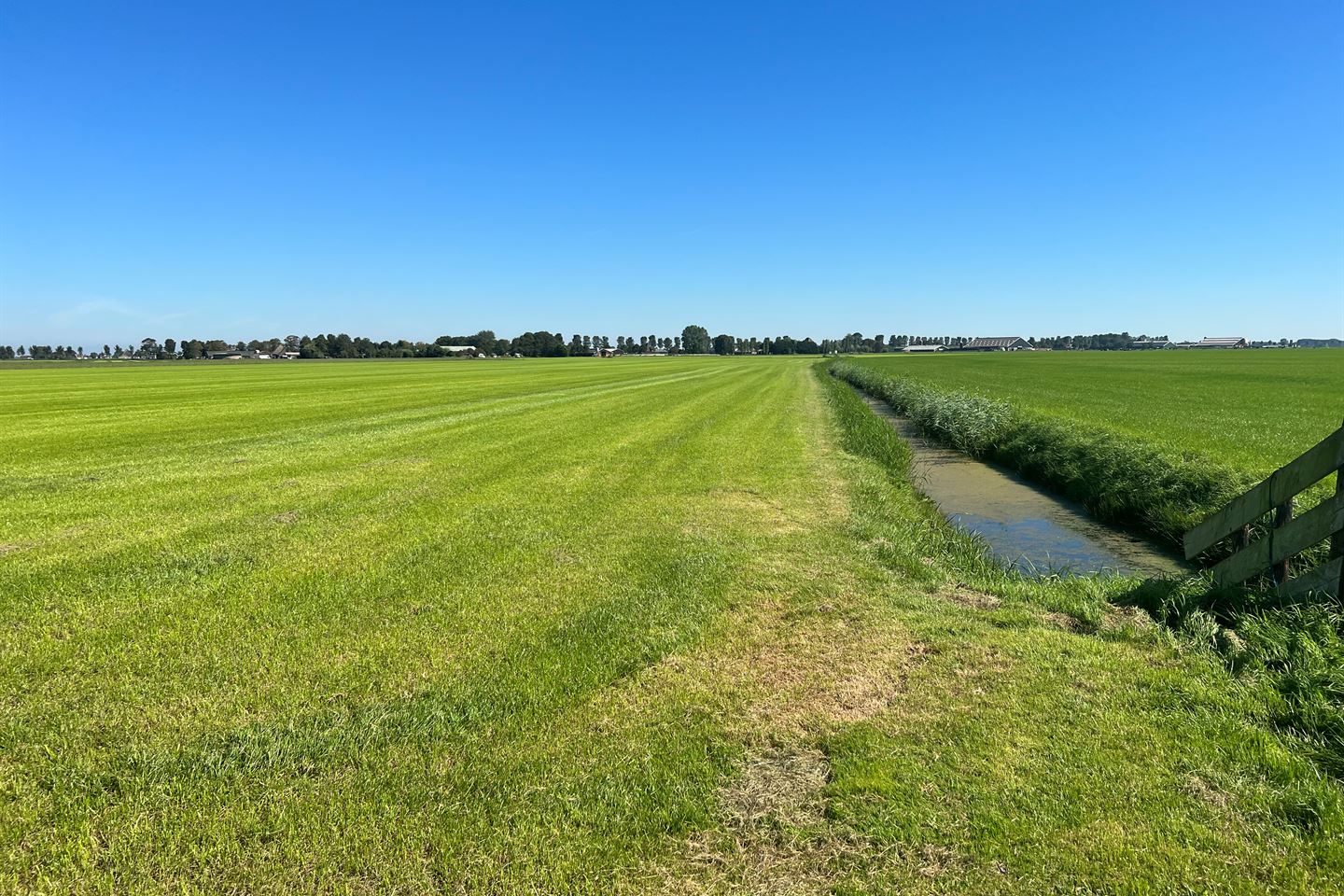 View photo 4 of Zomerdijk