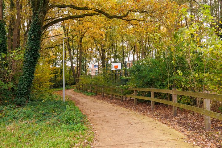 Bekijk foto 46 van Grootveld 63