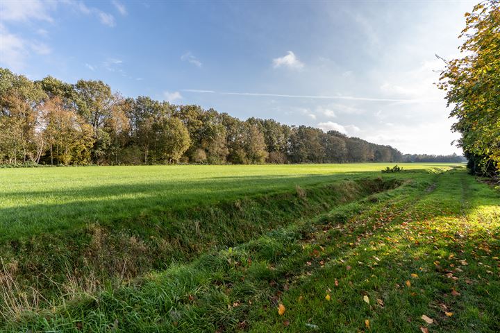 Bekijk foto 30 van Dwarsdiep 40