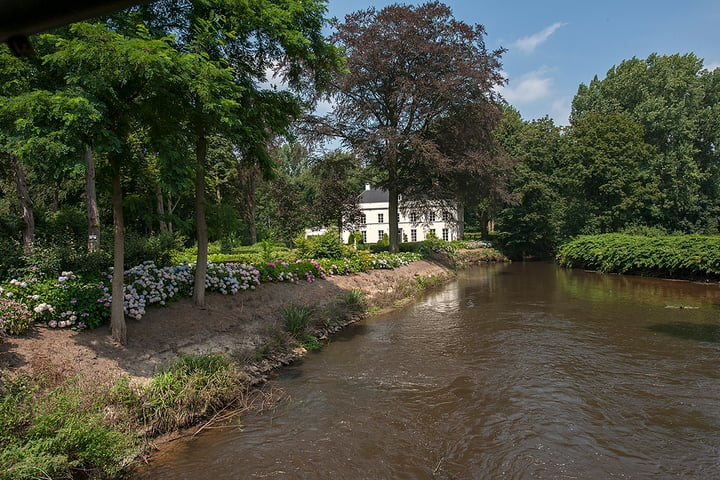 Bekijk foto 50 van Borchmolendijk 31