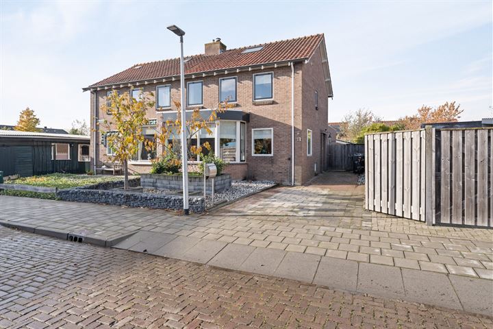 Bekijk foto 1 van Hobbemastraat 13