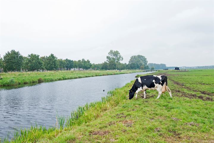 Bekijk foto 43 van Vergierdeweg 198