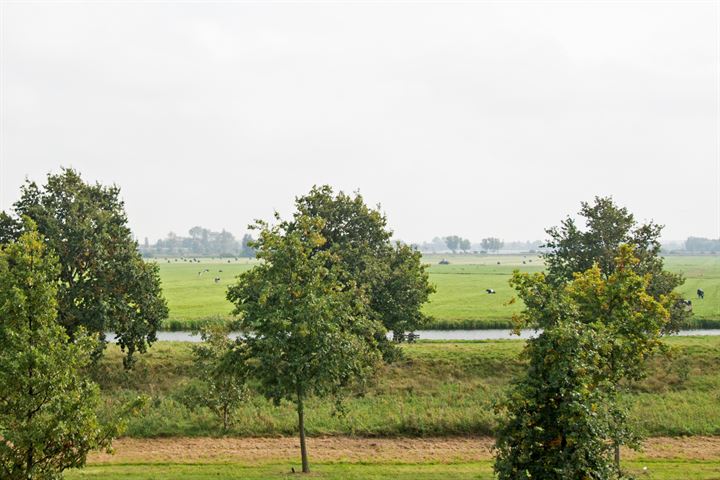 Bekijk foto 42 van Vergierdeweg 198