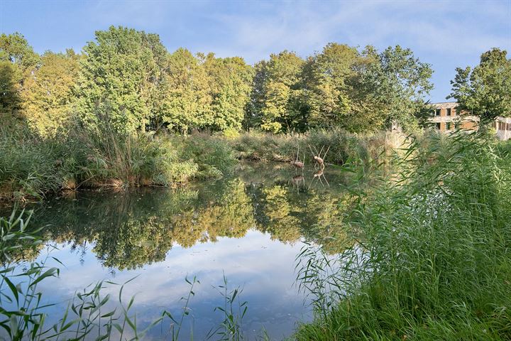 Bekijk foto 41 van Zwanebloem 6