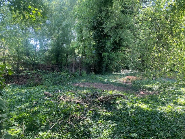 Foto 5 van Lindestraat 13