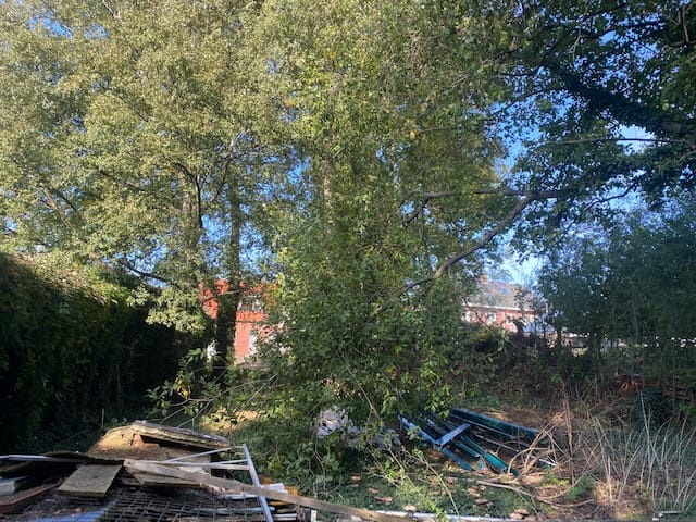 Foto 4 van Lindestraat 13