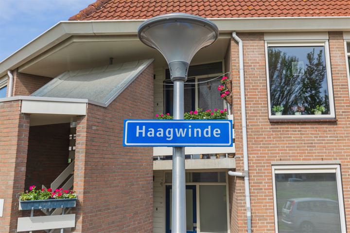 Bekijk foto 39 van Haagwinde 33