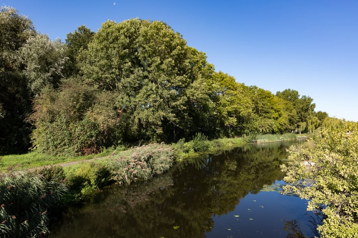 Bekijk foto 36 van Oudedijkse Schiekade 109