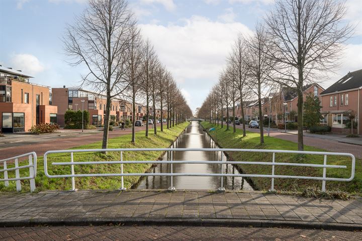 Bekijk foto 8 van Blauwe Reiger 19