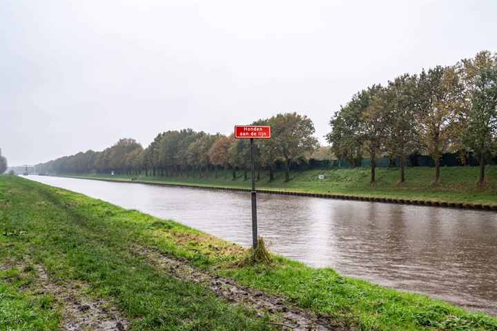 Bekijk foto 38 van Herenstraat 22