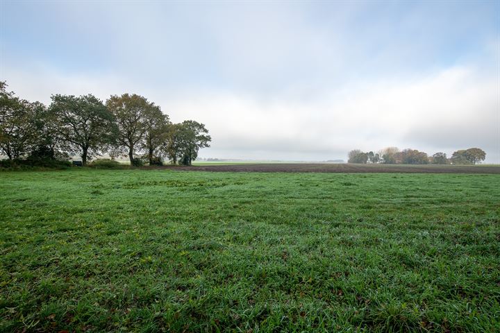 Bekijk foto 4 van Wedderweg 30