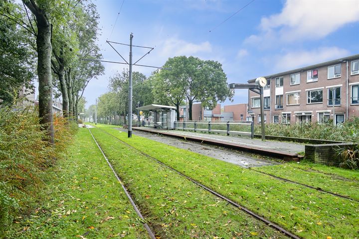 View photo 35 of Rhijnauwensingel 434