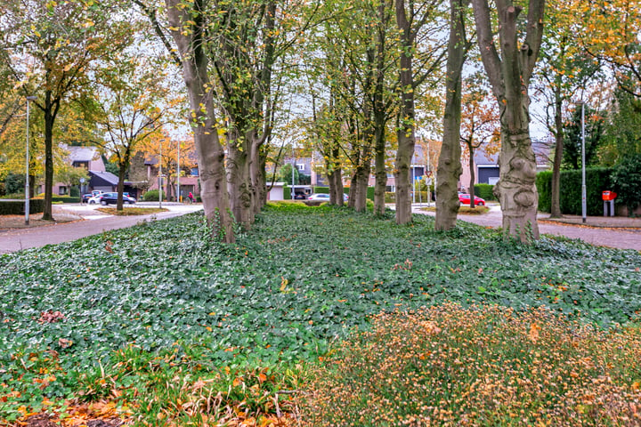 Bekijk foto 44 van Ministerlaan 1