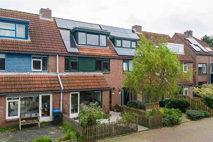 Bekijk foto 1 van Louis Elsevierstraat 27