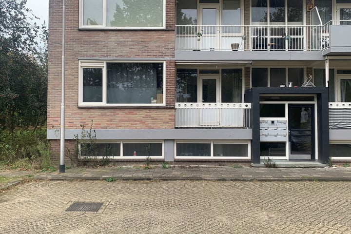 Europalaan 643