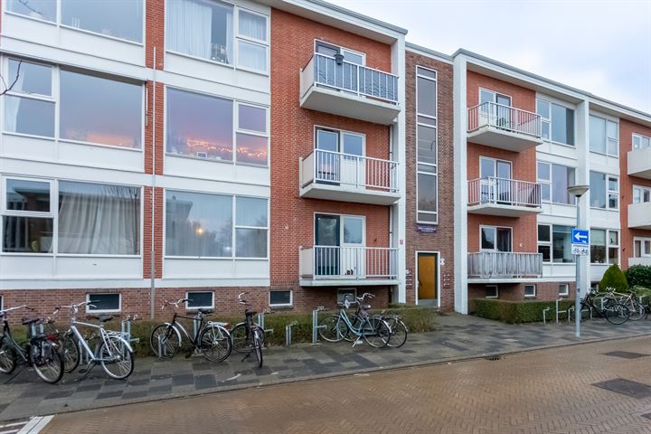 Bekijk foto 4 van Snelliusstraat 43