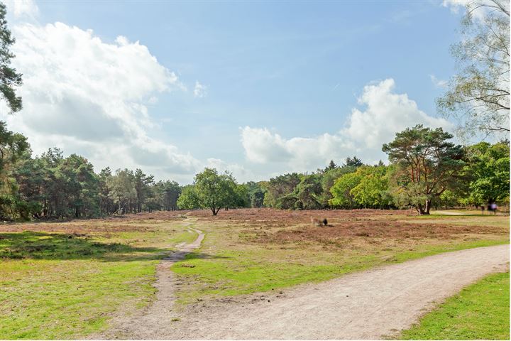 Bekijk foto 33 van Laapersveld 15-A