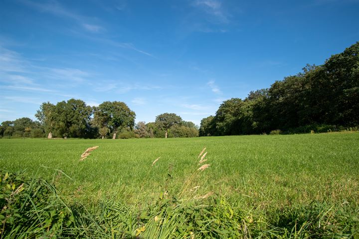 Bekijk foto 30 van Ravenhorsterweg 5