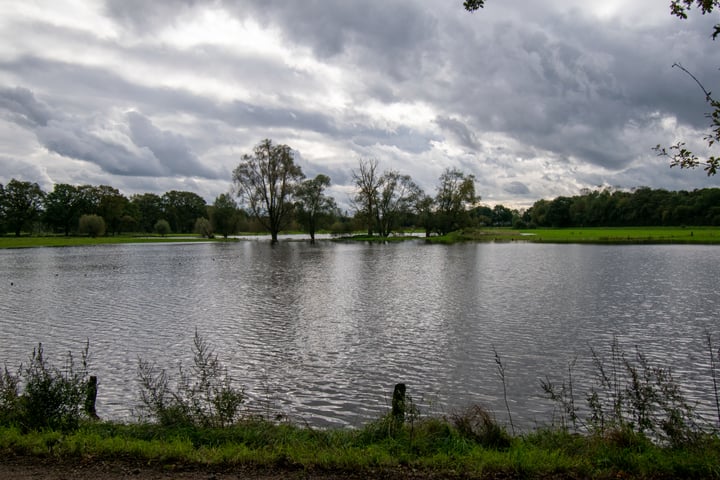 Bekijk foto 31 van Ravenhorsterweg 5