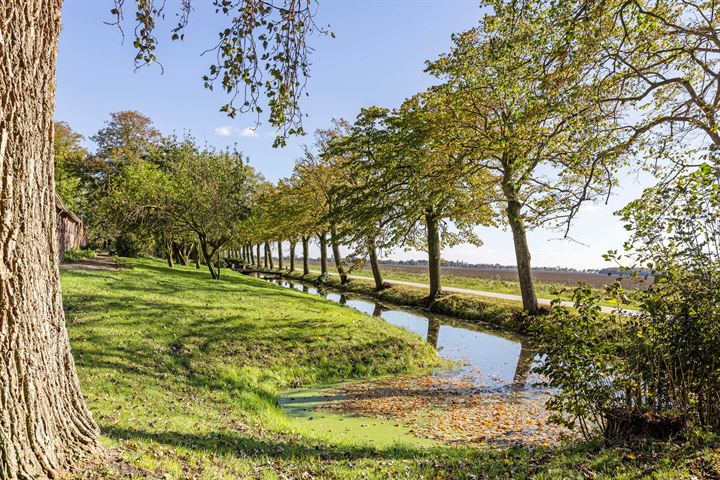 Bekijk foto 9 van Reiderwolderpolder 8