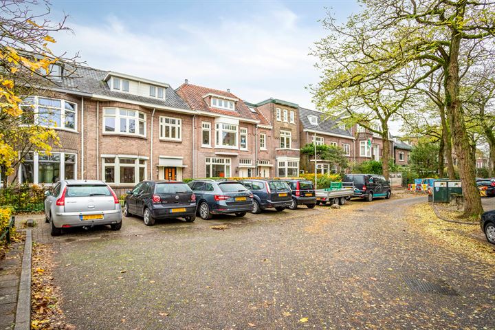 Bekijk foto 39 van Ruisdaelstraat 29