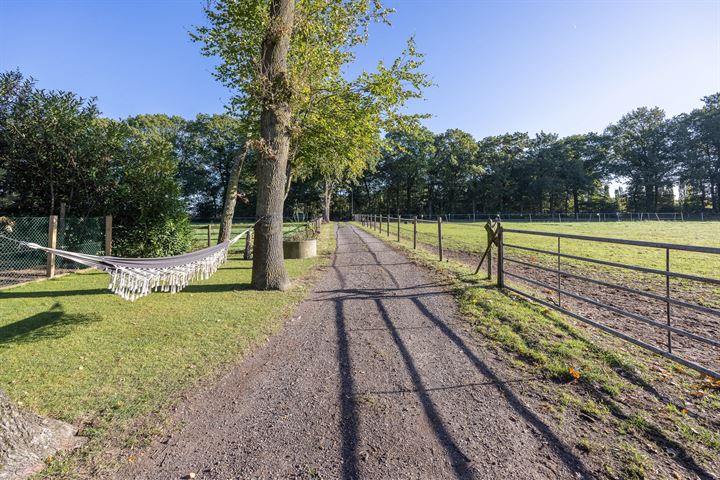 Bekijk foto 59 van Hassinkbrinkweg 1