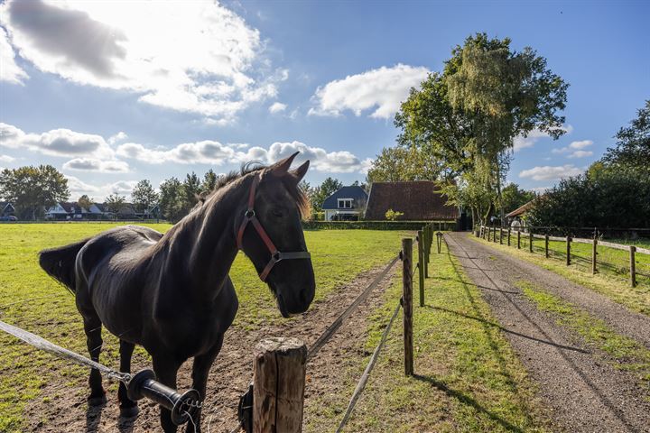 Bekijk foto 66 van Hassinkbrinkweg 1