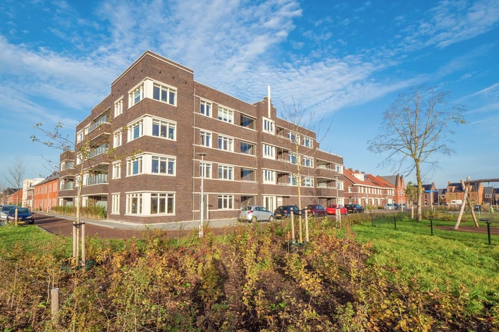 Persimoenstraat 11