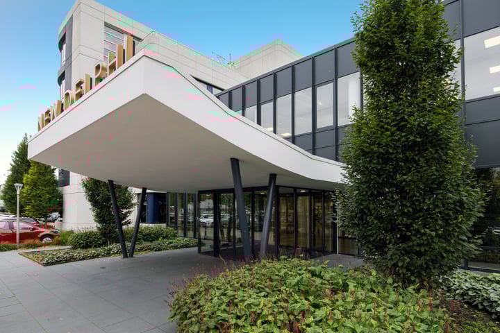 Rijnzathe 6