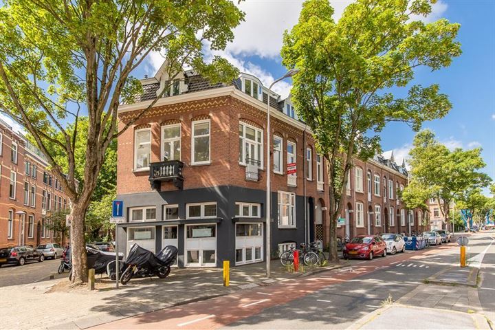 Bekijk foto 1 van Adelaarstraat 43-1