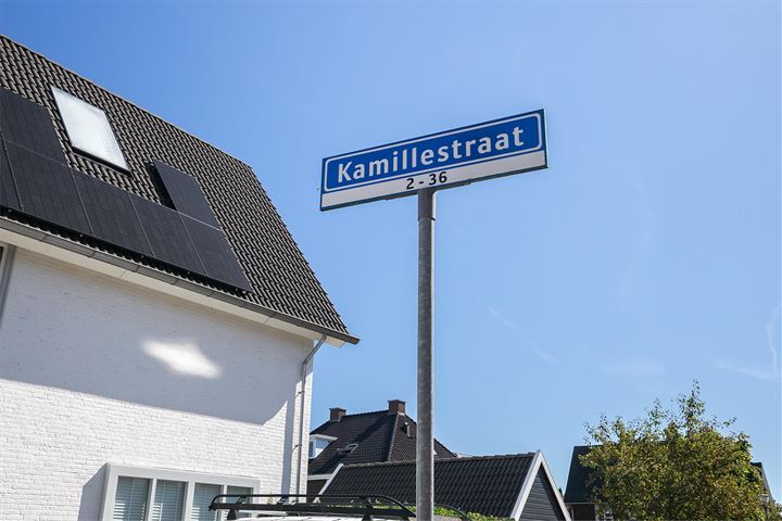 Bekijk foto 43 van Kamillestraat 16