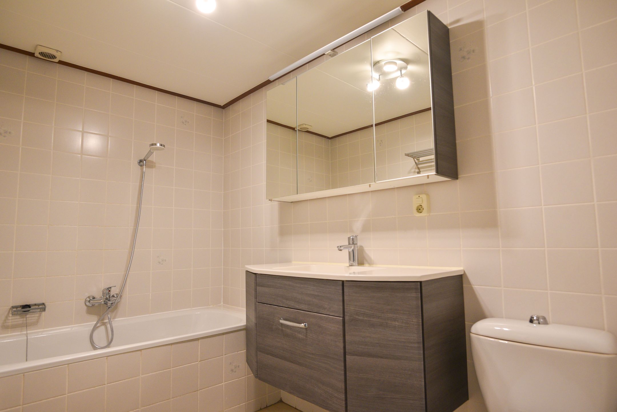 Photo 30 of Ostrea 18