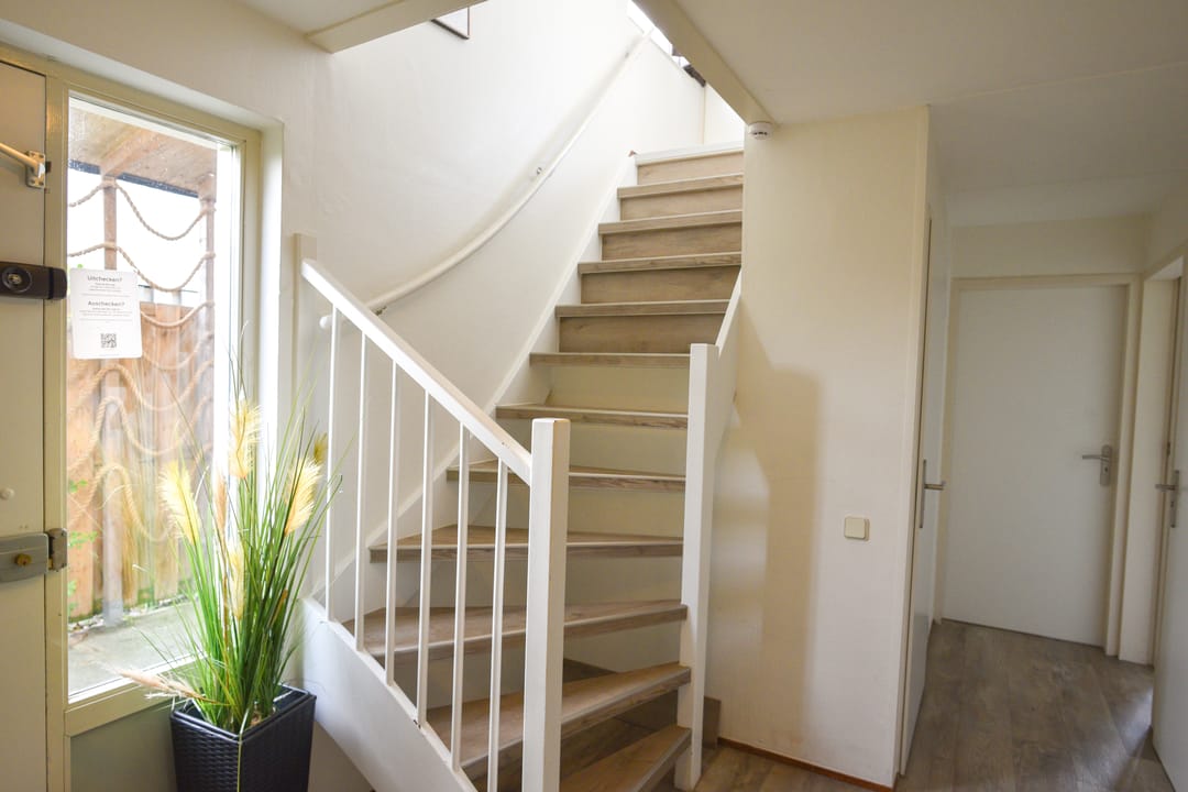 Photo 31 of Ostrea 18