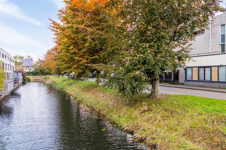 Bekijk foto 42 van De Rode Leeuw 37