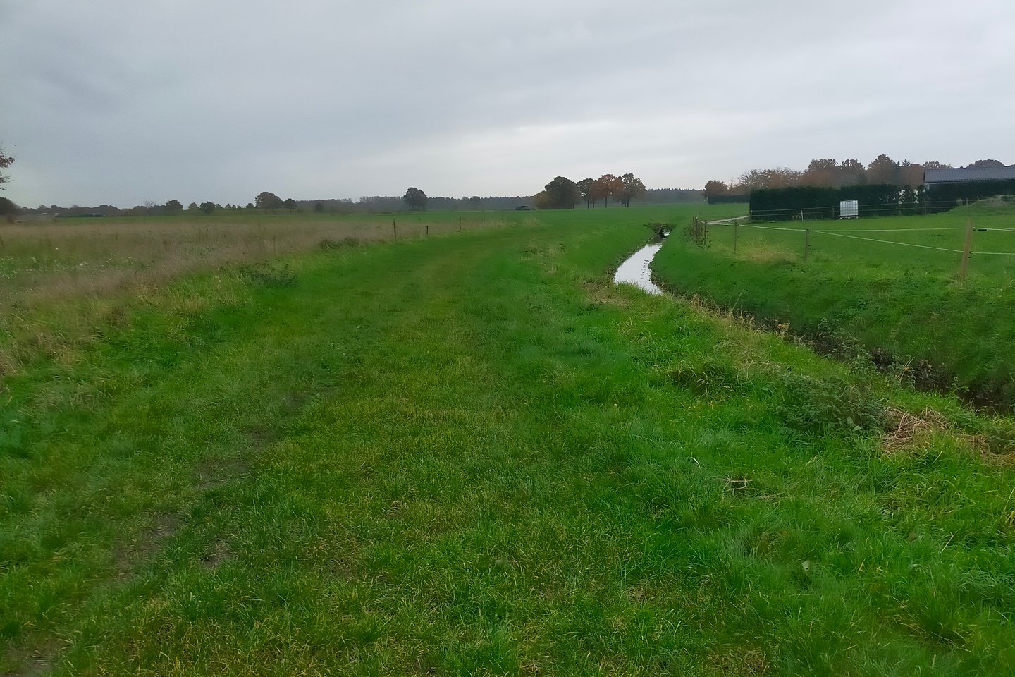 Bekijk foto 5 van Turfstraat