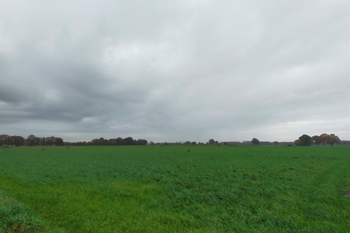 Bekijk foto 4 van Turfstraat