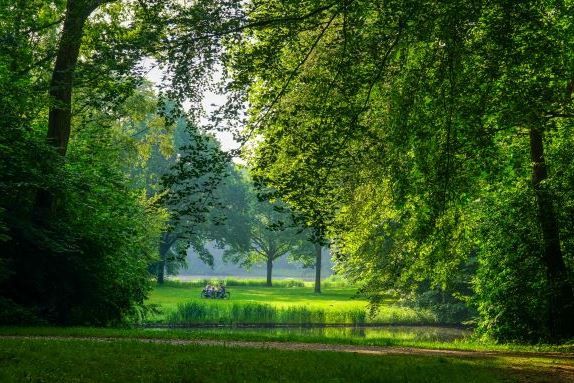 View photo 12 of Kavels Achter de Duinen Fase 2 (Bouwnr. 9)