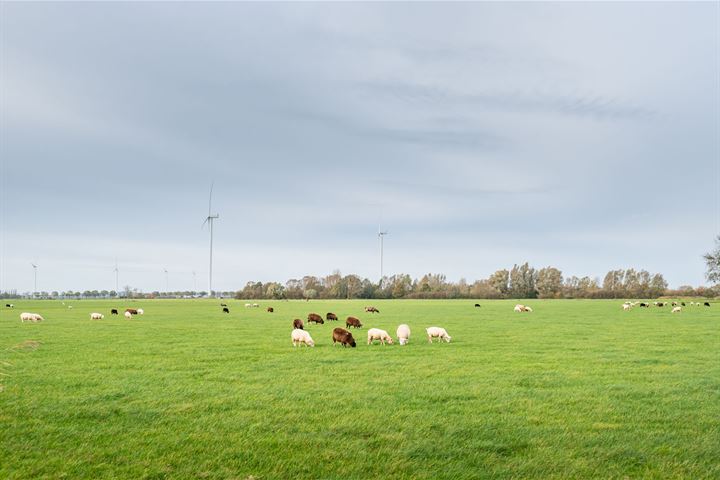 Bekijk foto 31 van Starterswoning - tussenwoning (Bouwnr. 3)