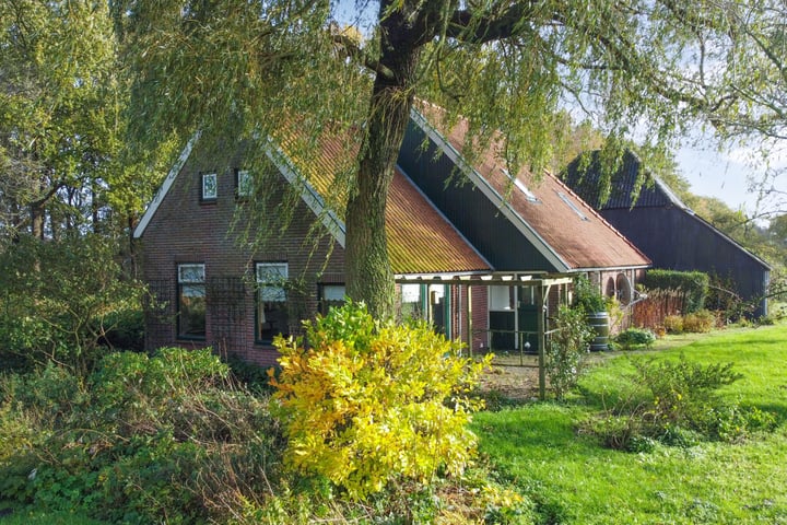 Bekijk foto 2 van Heerenveenseweg 206