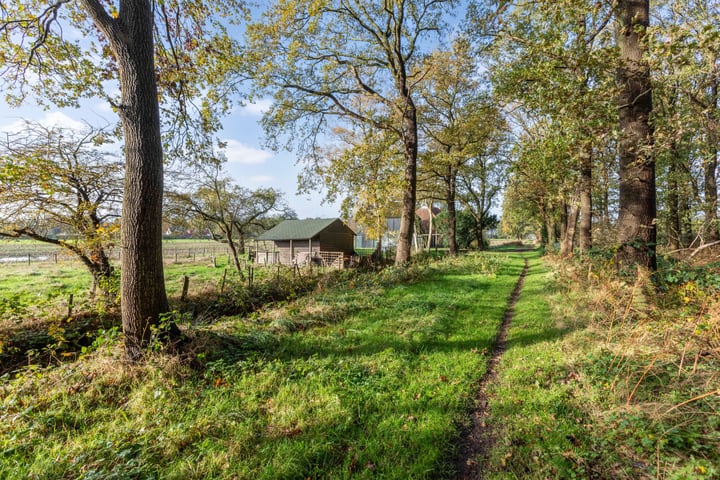 Bekijk foto 46 van Heerenveenseweg 206