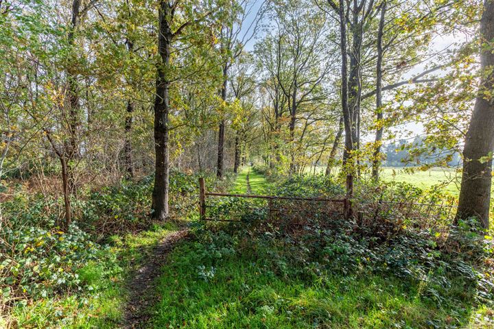 Bekijk foto 48 van Heerenveenseweg 206