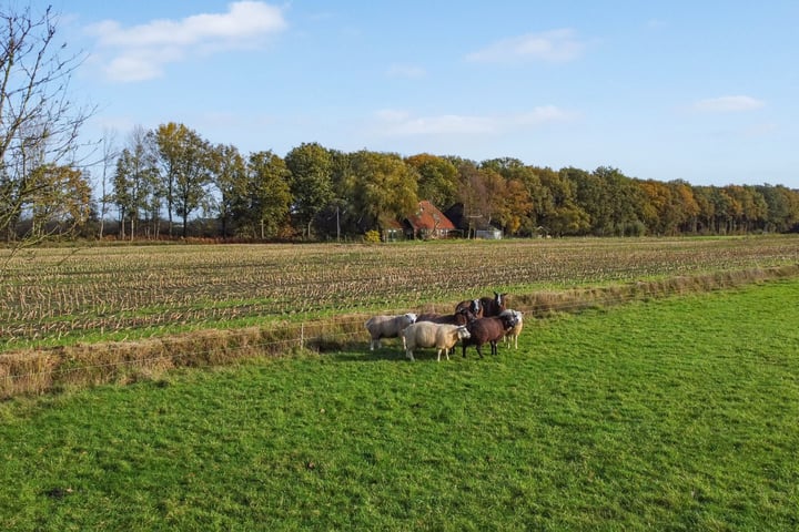 Bekijk foto 55 van Heerenveenseweg 206