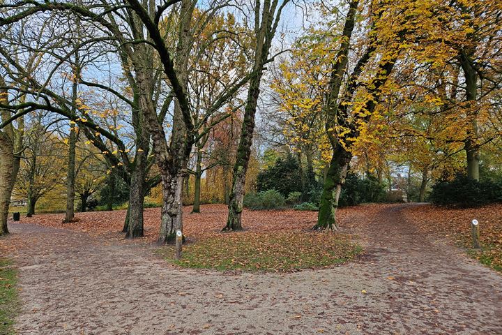 Bekijk foto 34 van Noorderbuitensingel 30-A