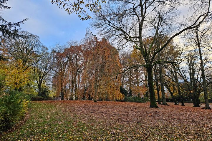 Bekijk foto 35 van Noorderbuitensingel 30-A