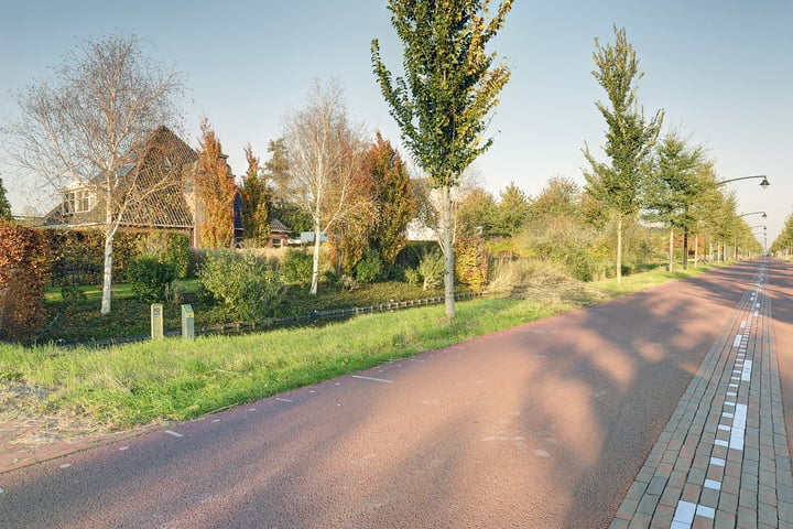 Bekijk foto 45 van Zonnegloren 10