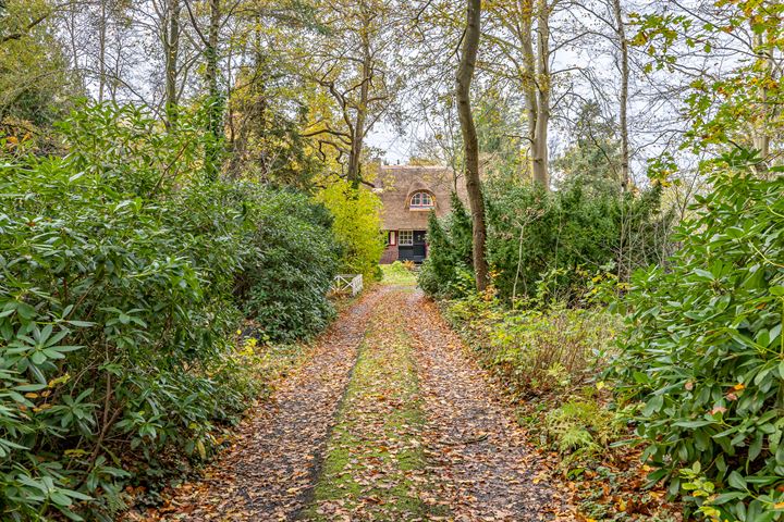 Bekijk foto 3 van Gasterenseweg 3