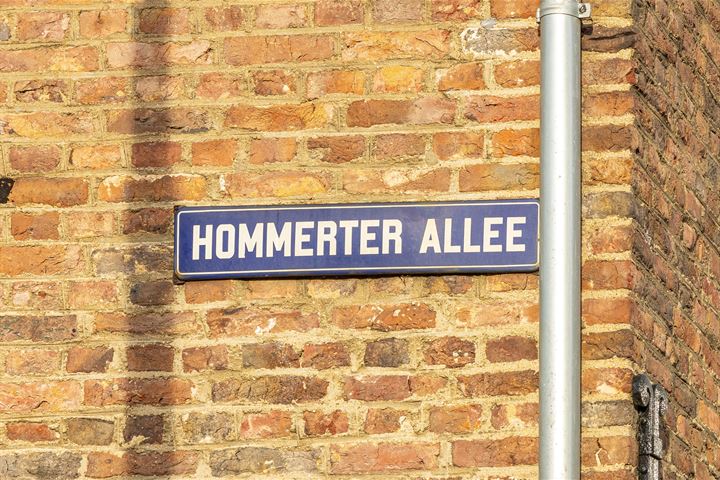 Bekijk foto 3 van Hommerter Allee 2-B