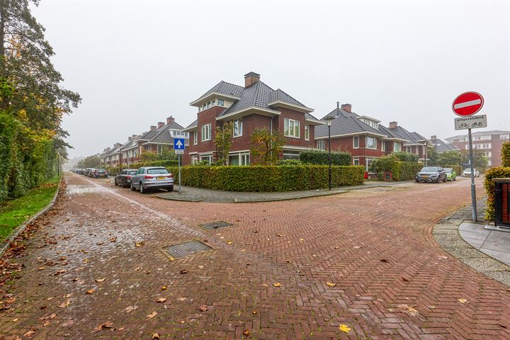 View photo 41 of Burgemeester Cannegieterlaan 59