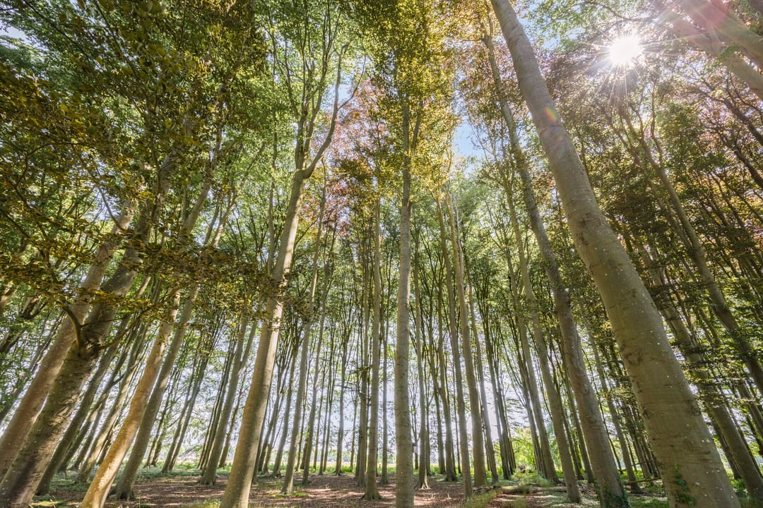 Foto 67 van Lage Lochemseweg 31-A